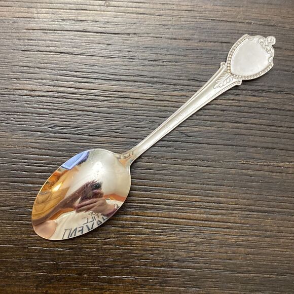Vintage | Ohio Collector Spoon #23 - Picture 3 of 4